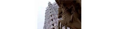 10. திருப்புள்ளம் பூதங்குடி